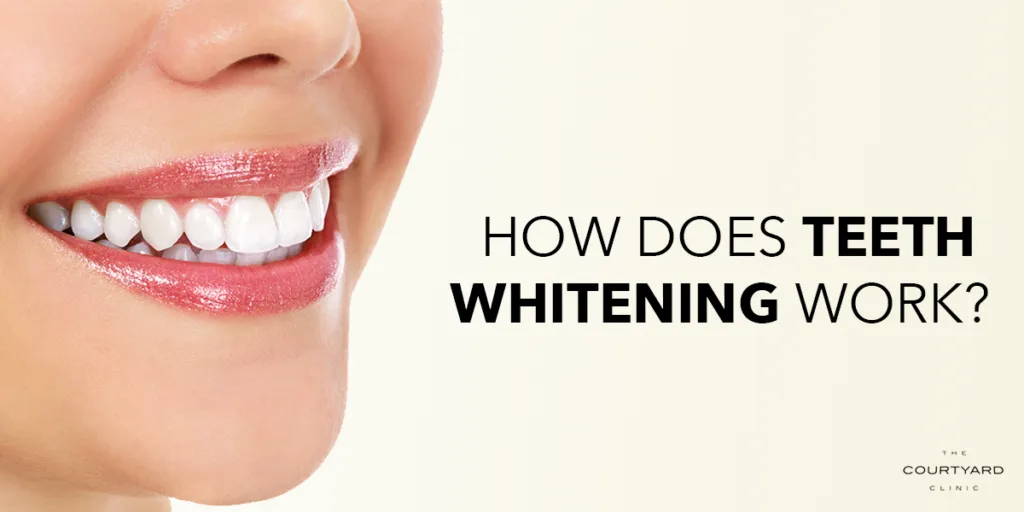 29402 chewing gum action