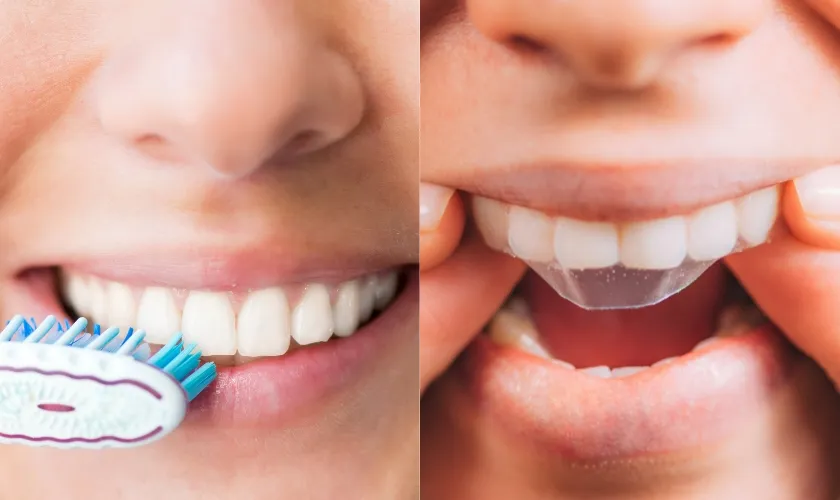 29461 oral hygiene routine