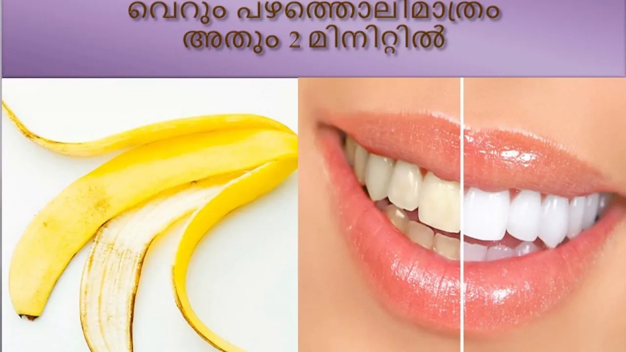 29503 teeth brushing technique