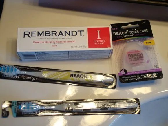 29557 rembrandt toothbrush design